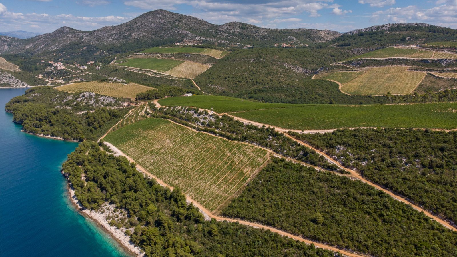 A New Business Expanding Croatia Wine