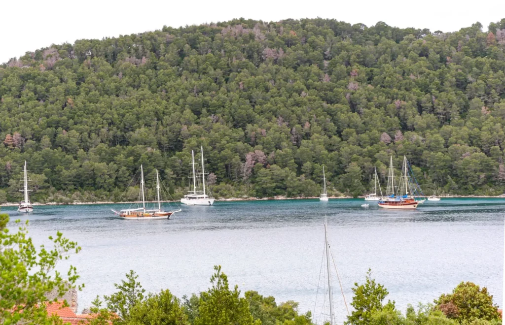 Libra and other gulets at anchor. Photo by Pearl Macek.